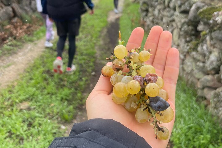 Naturvandringar i Marvão