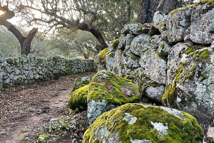 Naturvandringar i Marvão