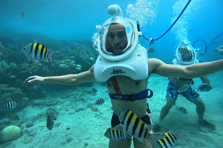 シートレックキュラソー:水中ヘルメットウォーク、水泳不要