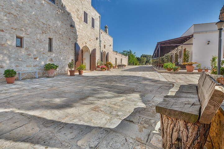 Ostuni: Degustazione di Olio Extra Vergine di Oliva in Masseria