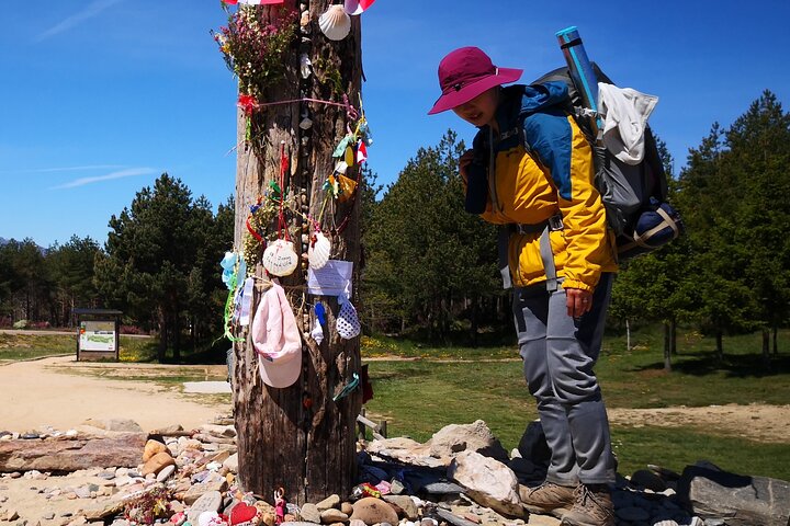 Franske Camino de Santiago fra Sarria til Santiago de Compostela