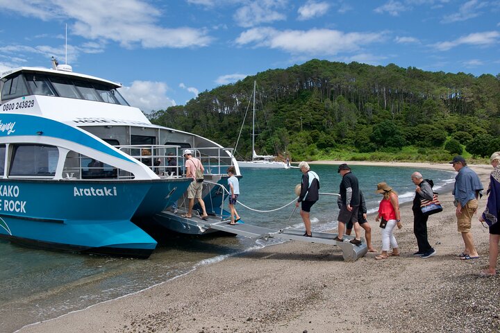 Bay of Islands Cruise & Island Tour - Snorkel, vandre, svømme, dyreliv