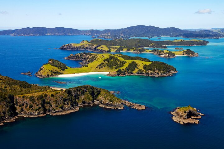 Bay of Islands Cruise & Island Tour - Snorkel, vandre, svømme, dyreliv