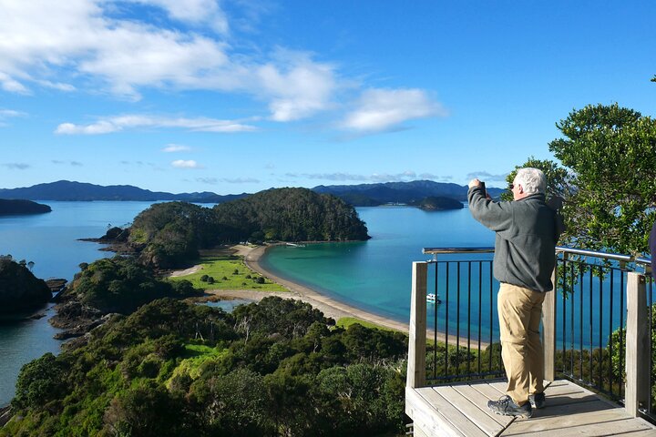 Bay of Islands Cruise & Island Tour - Snorkel, vandre, svømme, dyreliv