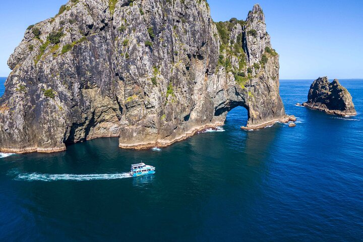 Bay of Islands Cruise & Island Tour - Snorkel, vandre, svømme, dyreliv