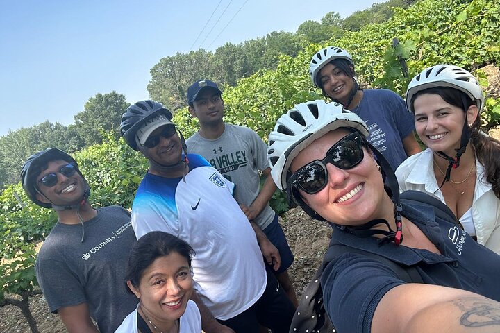 Ganztägige E-Bike-Tour in der Region Luberon von Avignon