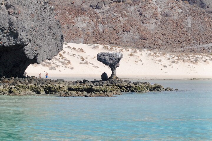 Espíritu Santo Island Snorkel med Sea Lions og Balandra Beach
