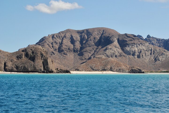 Espíritu Santo Island Snorkel med Sea Lions og Balandra Beach