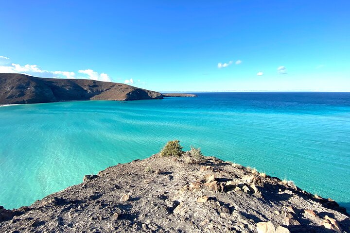 Espíritu Santo Island Snorkel med Sea Lions og Balandra Beach