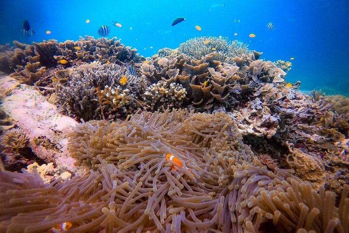 1-dags Piaynemo Raja Ampat Tour hopping Island afgår fra Sorong
