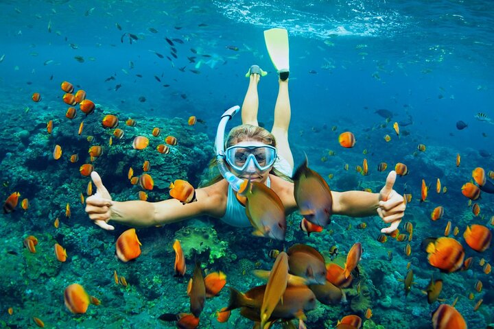 Lihaga Island privat rundtur – vit sand, snorkling och lunch