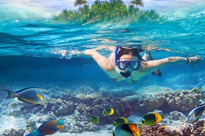 Lihaga Island privat rundtur – vit sand, snorkling och lunch