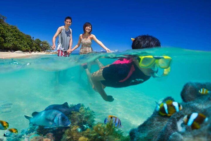 Lihaga Island privat rundtur – vit sand, snorkling och lunch