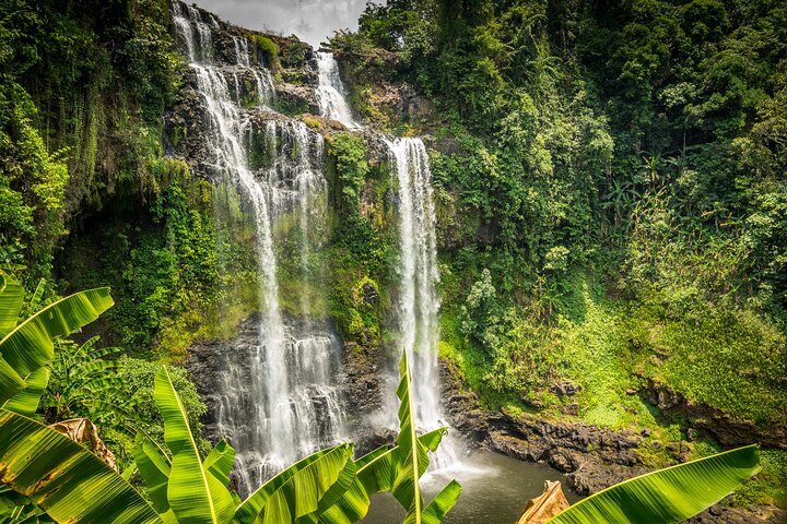 Excursão privada pela cachoeira do planalto Bolaven em Pakse