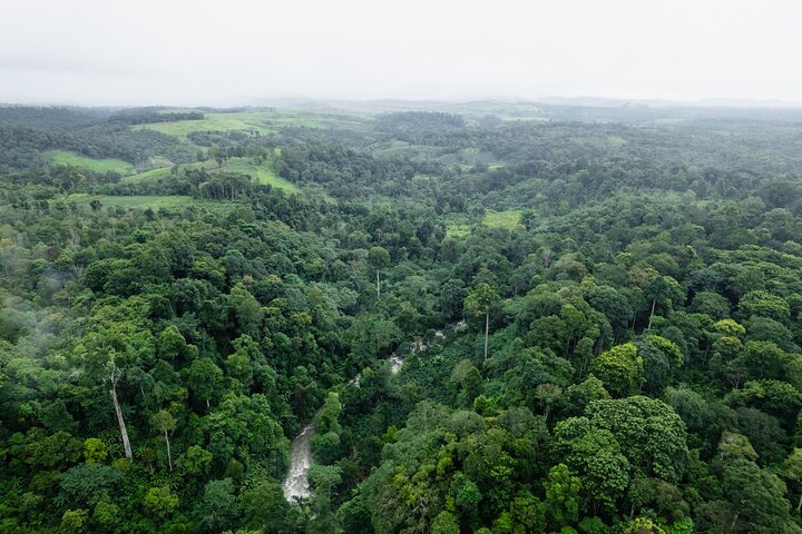 Excursão privada pela cachoeira do planalto Bolaven em Pakse