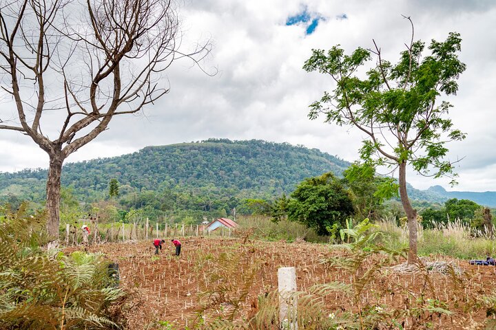 Excursão privada pela cachoeira do planalto Bolaven em Pakse