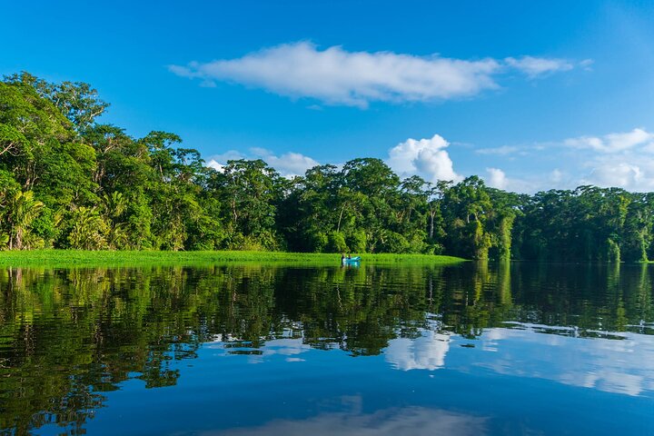 Tortuguero: Nester-Tour + Kanu-Tour + Dschungel-Nachttour