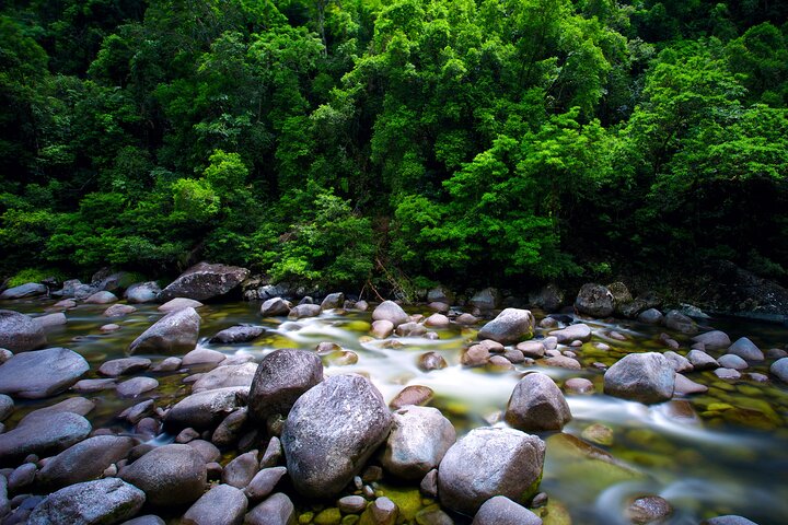 Selva tropical de Daintree, grupo pequeño de Mossman Gorge desde Port Douglas