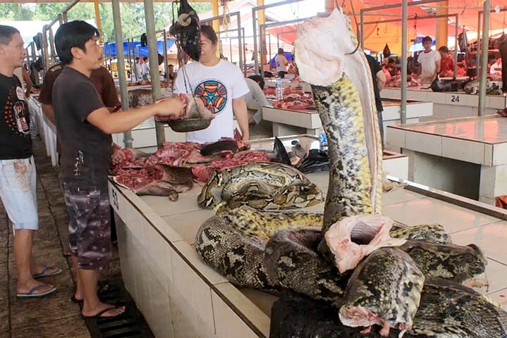 Privé Manado & Tomohon-tour – natuur, cultuur en lunch