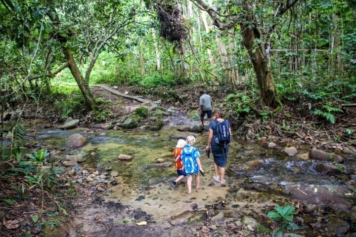 Fiji Adventure: Tour combinado de senderismo en cascada y dunas de Biausevu
