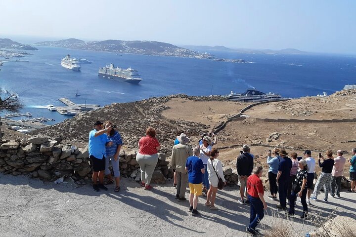 Excursión por la costa de Mykonos con recogida en la terminal de cruceros