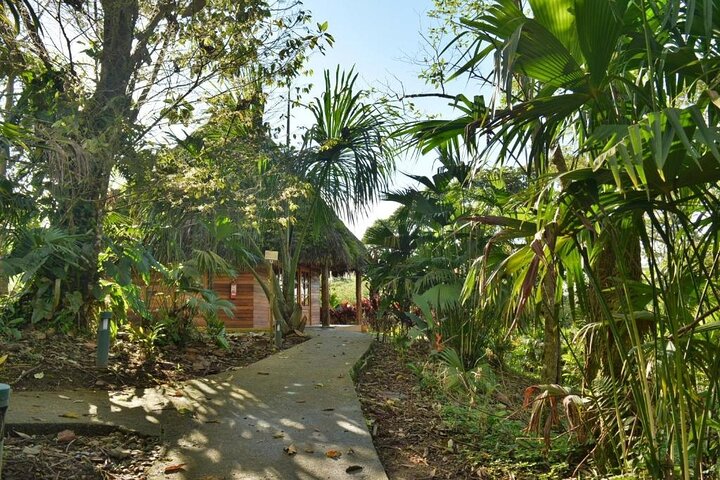 4 días de tour comunitario por la Amazonía y Kichwa de Archidona