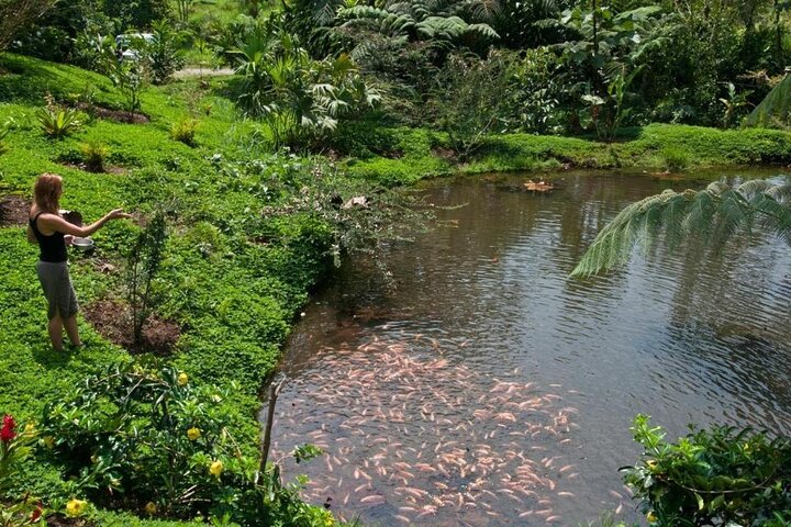 4 días de tour comunitario por la Amazonía y Kichwa de Archidona