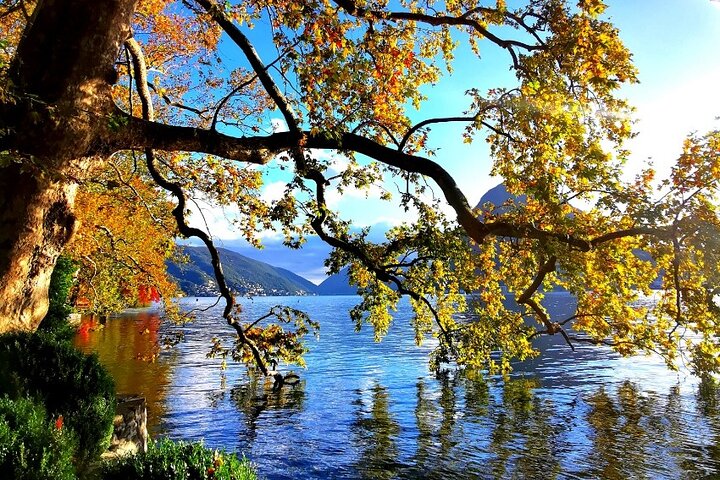 Lago Como & Lugano para grupos pequeños : 2 países en 1 día, Crucero en barco