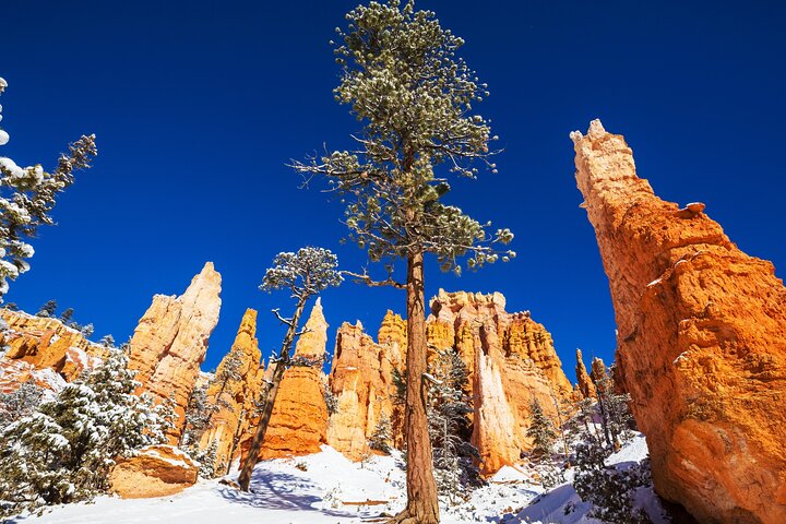 Tour audio di guida autoguidato del Parco nazionale del Bryce Canyon
