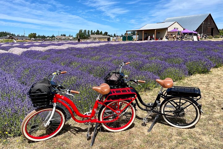 Paseo en bicicleta eléctrica por el Olympic Discovery Trail