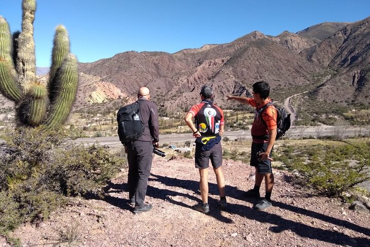 Aventura en Bicicleta por Juella con almuerzo