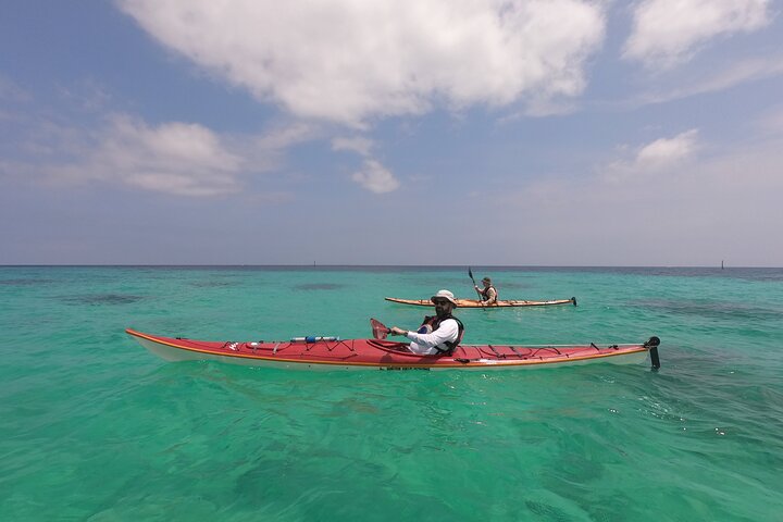 North Okinawa : Privékajak & snorkelavontuur