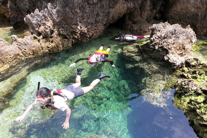 North Okinawa : Privékajak & snorkelavontuur