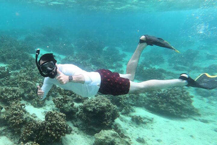 North Okinawa : Privékajak & snorkelavontuur