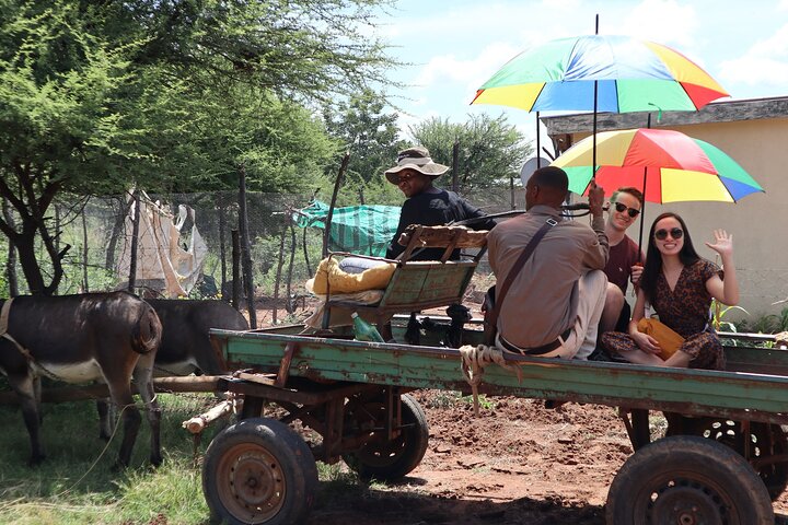 Halvdagstur fra Gaborone (Manyana Village Besøg)
