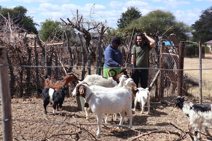 Halvdagstur fra Gaborone (Manyana Village Besøg)