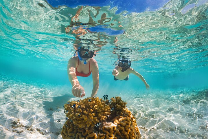 Tour privado de snorkel de medio día en la isla Maafushi