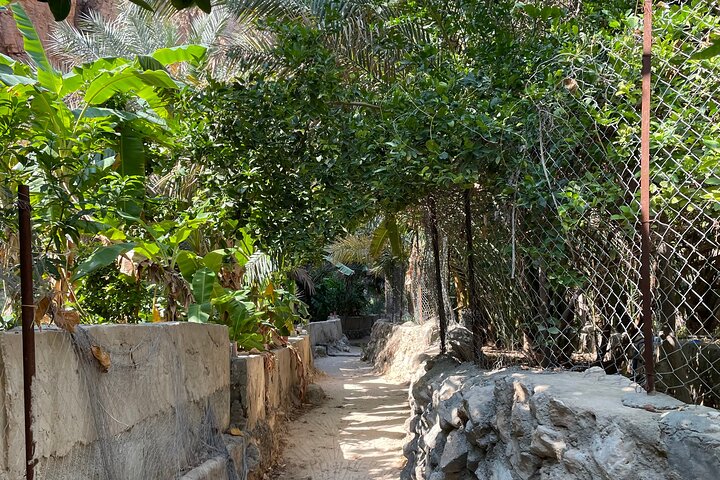 Full Day Private Tour to Wadi Shab and Bimmah Sinkhole