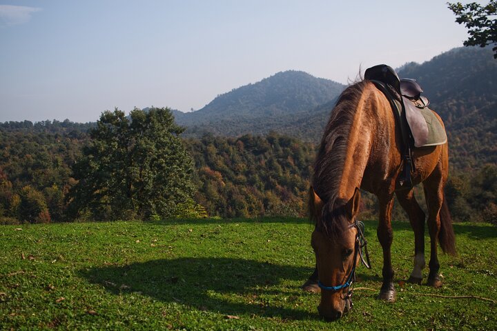 Escursione a cavallo privata alle sorgenti termali naturali in Azerbaigian