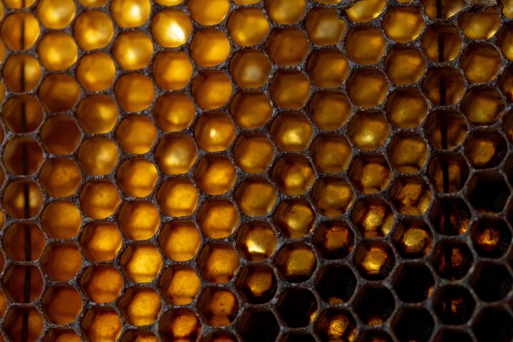 Visite privée d'une ferme de miel et fabrication de bougies en cire d'abeille à Spitak