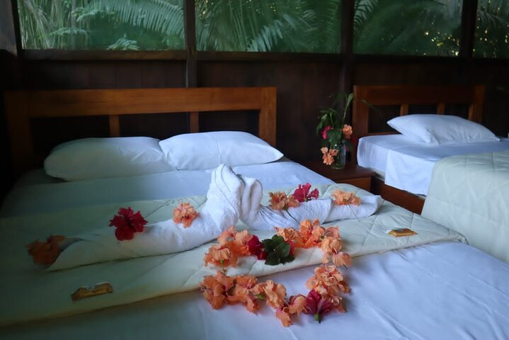 Tambopata. Lago Sandoval y collpa de loros, 3 días 2 noches