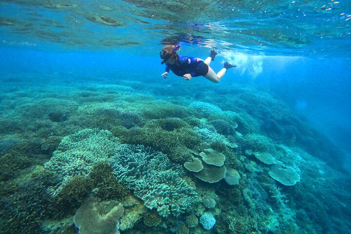 North Okinawa : Privékajak & snorkelavontuur