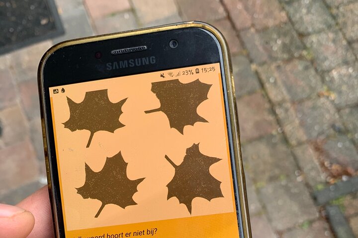¡Descubre Arnhem con un recorrido autoguiado por la ciudad de Outside Escape!