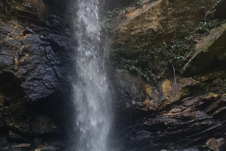 Hidden Gem: Avocat Waterfall Hike & Beach Stop in Trinidad