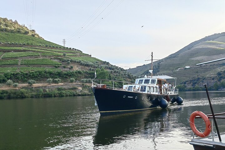 Heldags privat tur til Douro - Vintage Experience