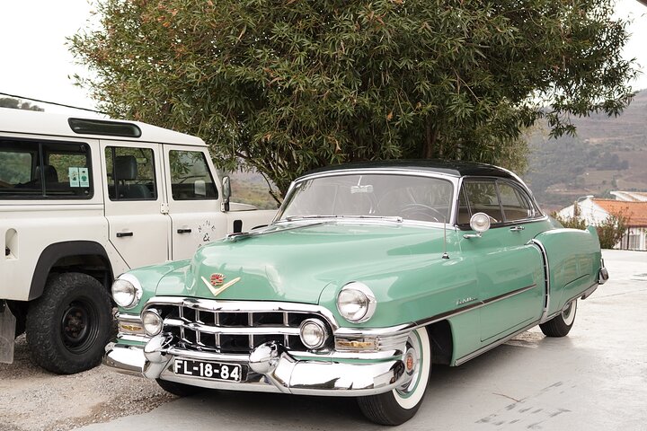 Heldags privat tur til Douro - Vintage Experience