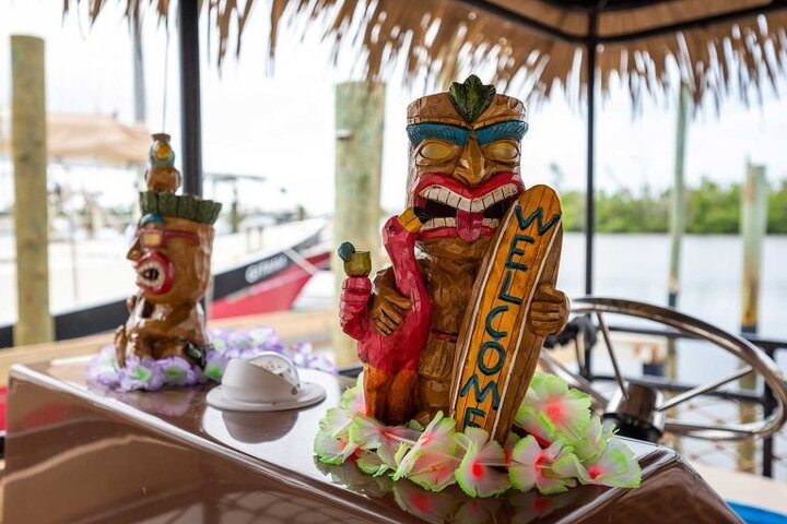 2 Stunden Tiki Pub Sensationelle Delfin Sunset Cruise (nur Erwachsene)