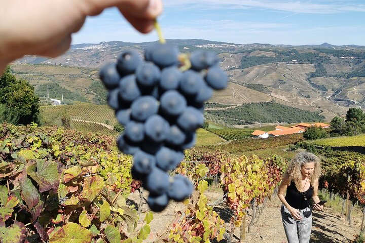 Heldags privat tur til Douro - Vintage Experience