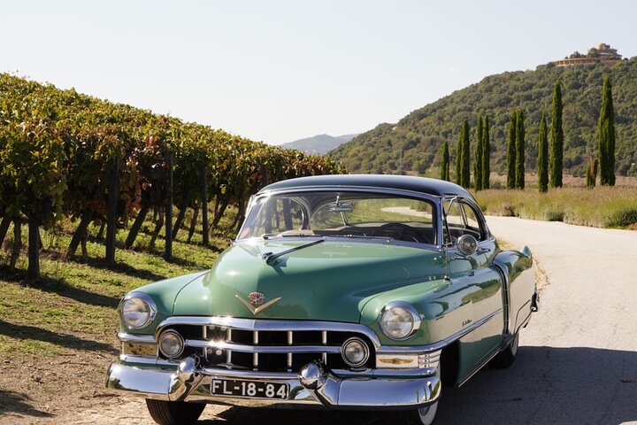 Heldags privat tur til Douro - Vintage Experience