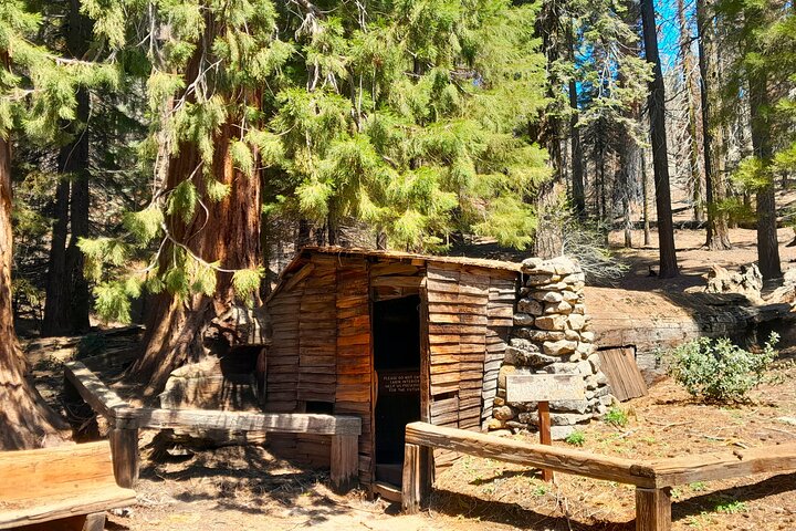 Giant Sequoia privat rundtur
